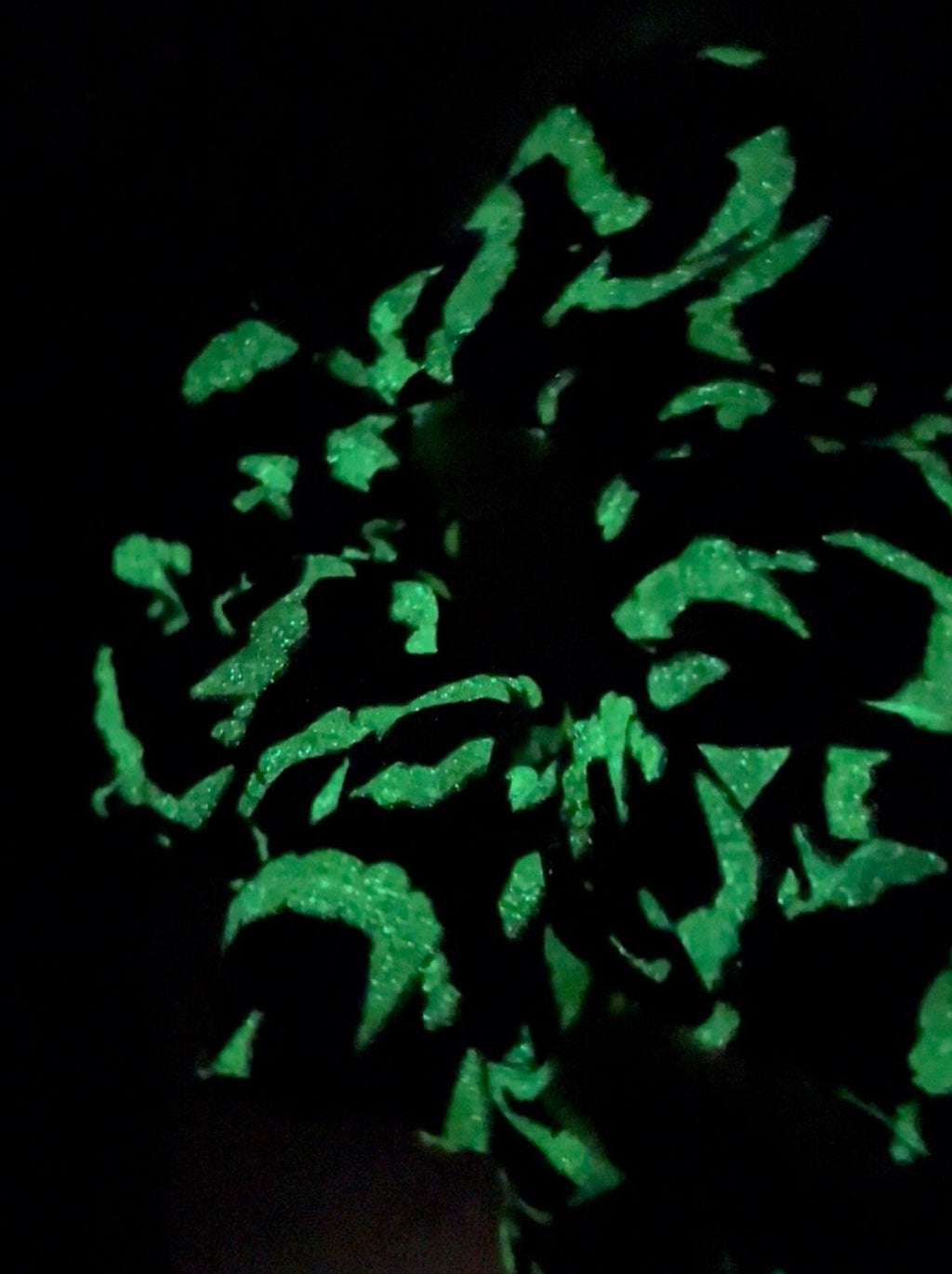 Glow in the Dark Vampire Teeth Scrunchie