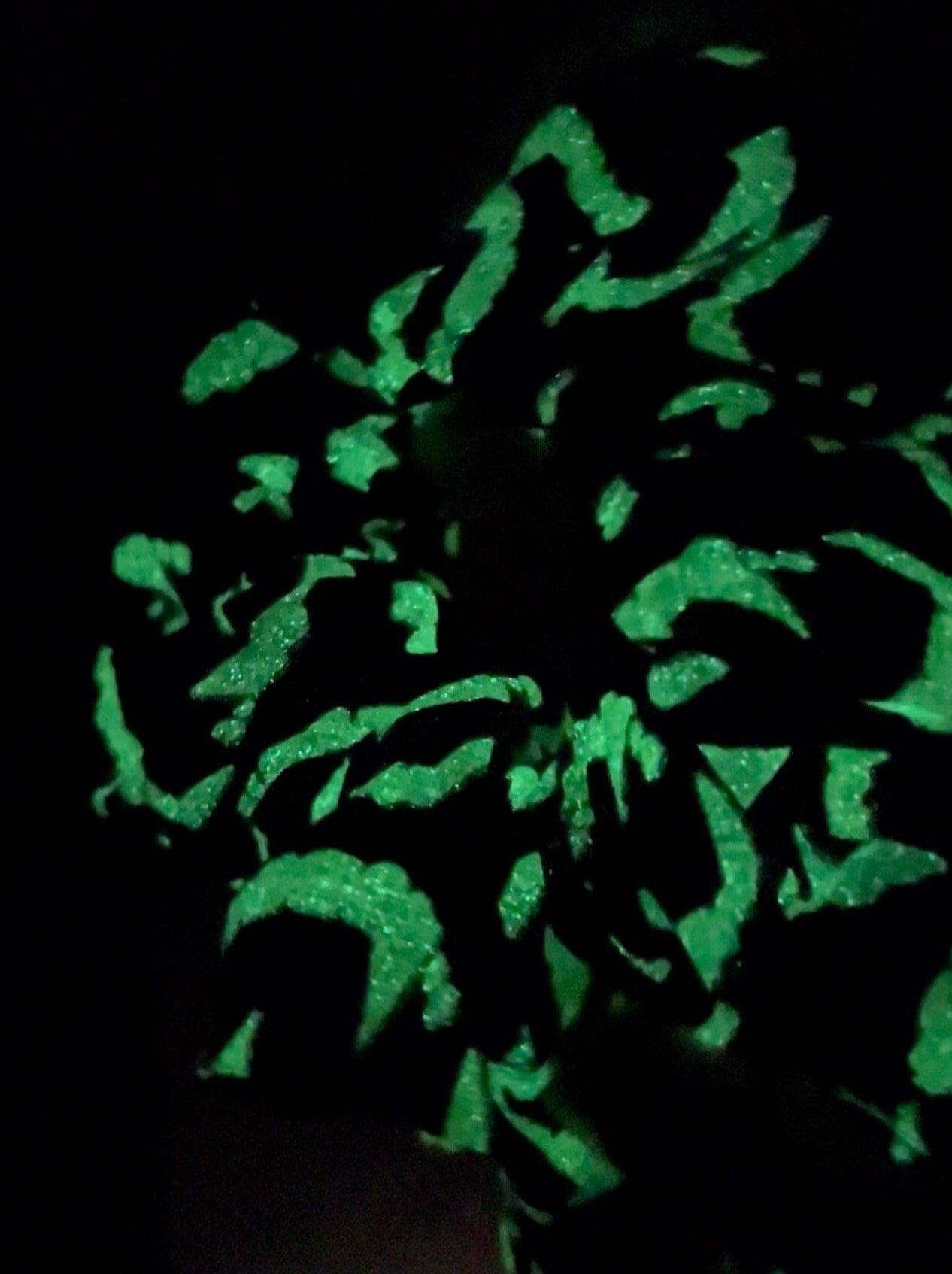 Glow in the Dark Vampire Teeth Scrunchie