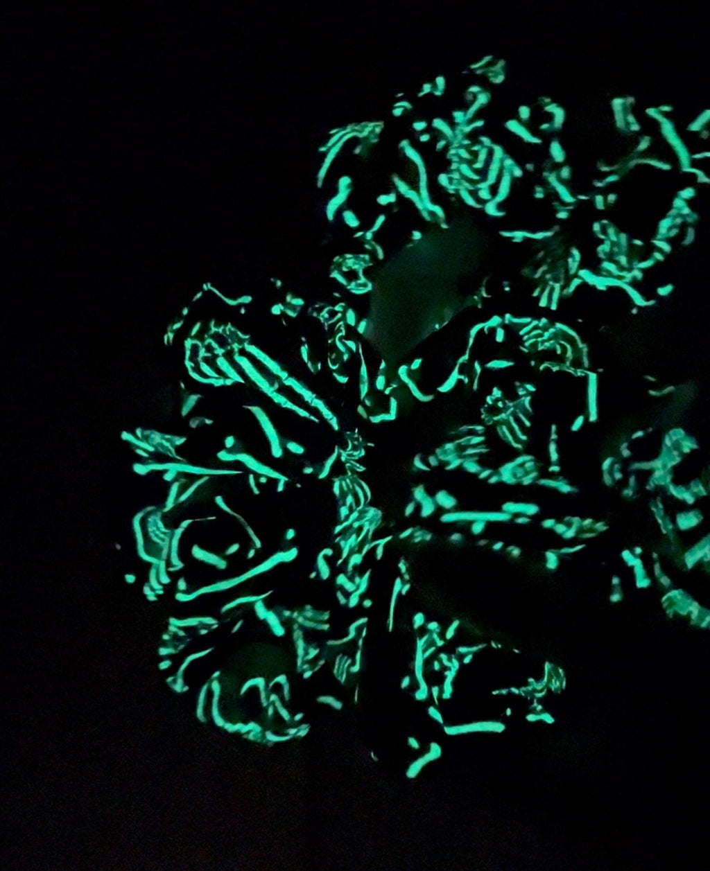 Glow in the Dark Skeletons Scrunchie