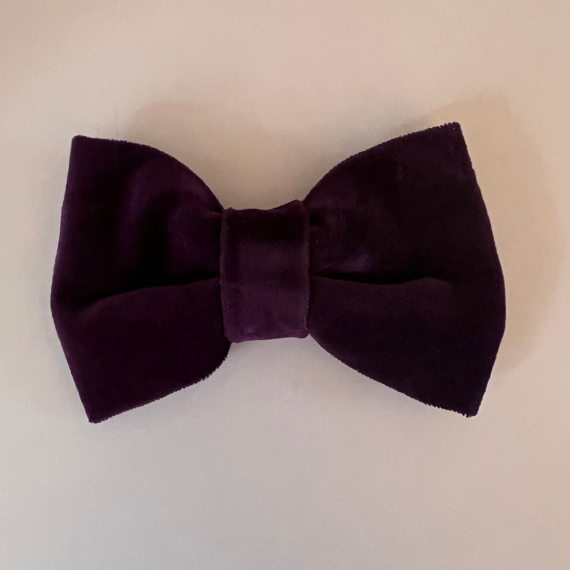 Purple Velvet Bows