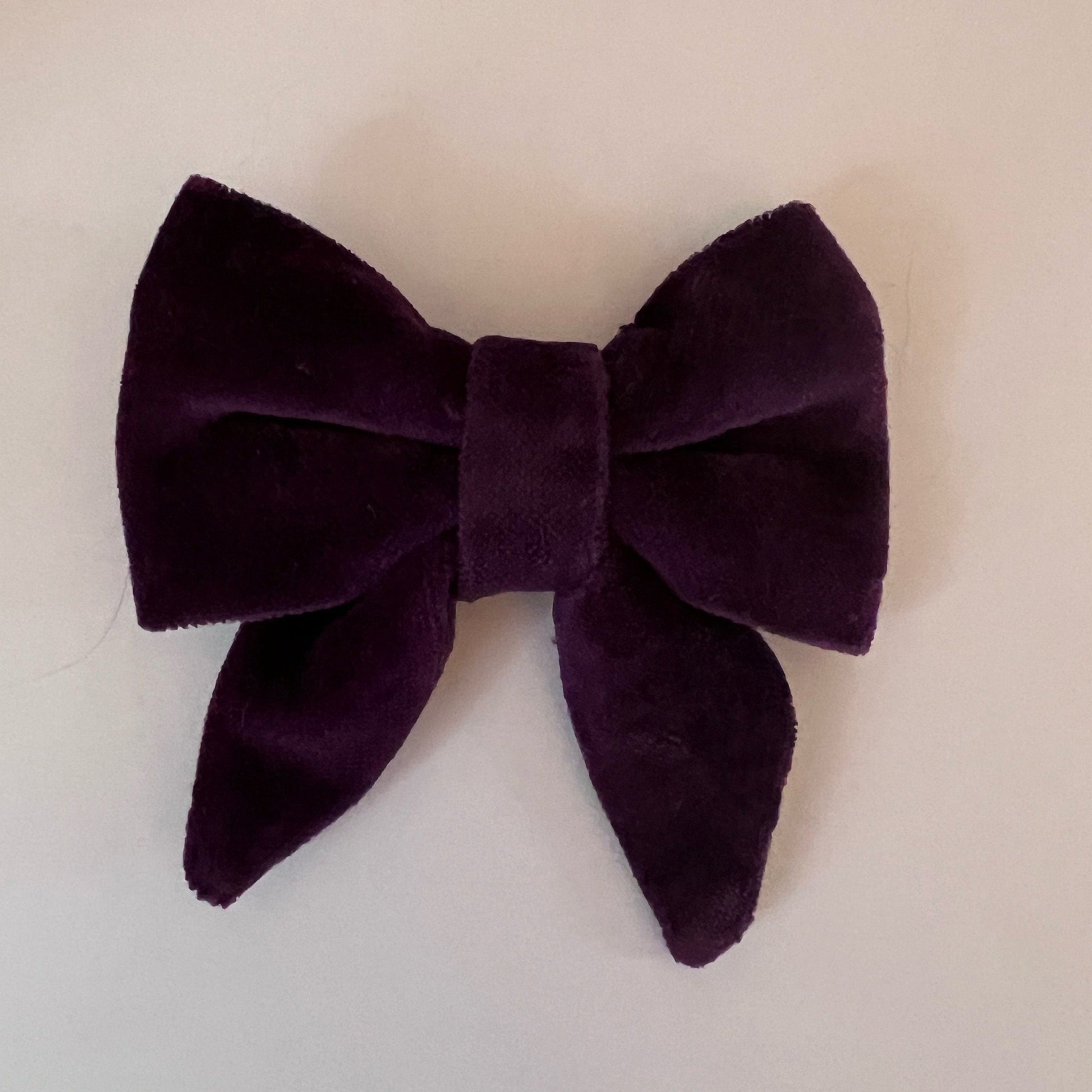 Purple Velvet Bows